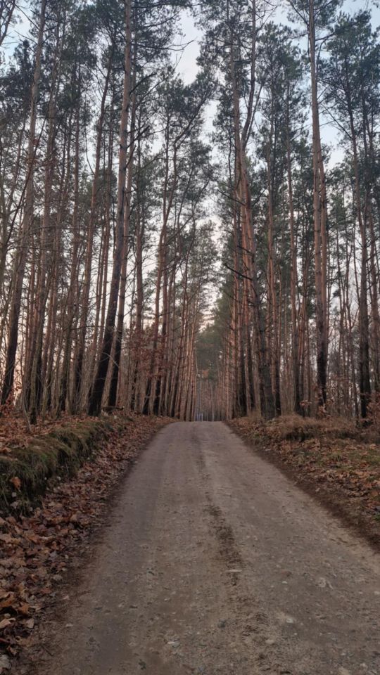dom letniskowy, 3 pokoje Ostaszewo Nad Jeziorem. Zdjęcie 16