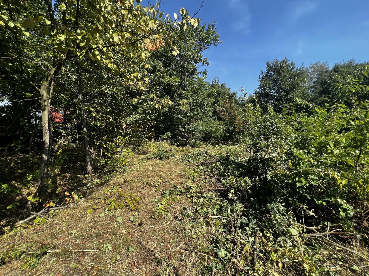 Działka budowlana Leboszowice, ul. Smolnicka. Zdjęcie 9