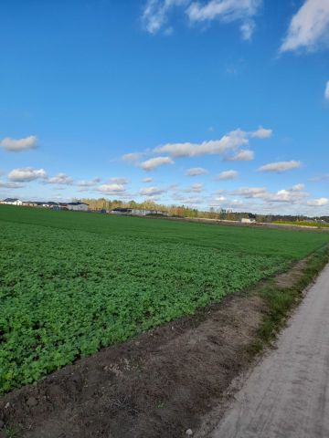 Działka budowlana Kopanina. Zdjęcie 1