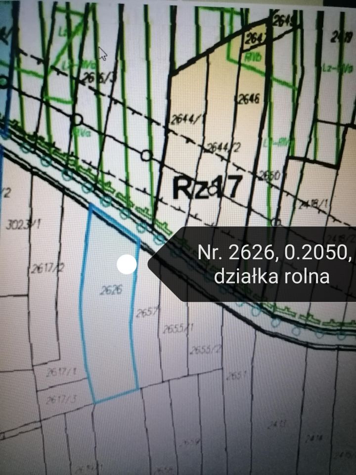 Działka rolna Zakrzów. Zdjęcie 3