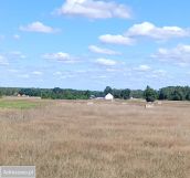 Działka budowlana Antonina. Zdjęcie 2