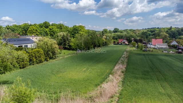 Działka rolno-budowlana Wilczyn. Zdjęcie 2