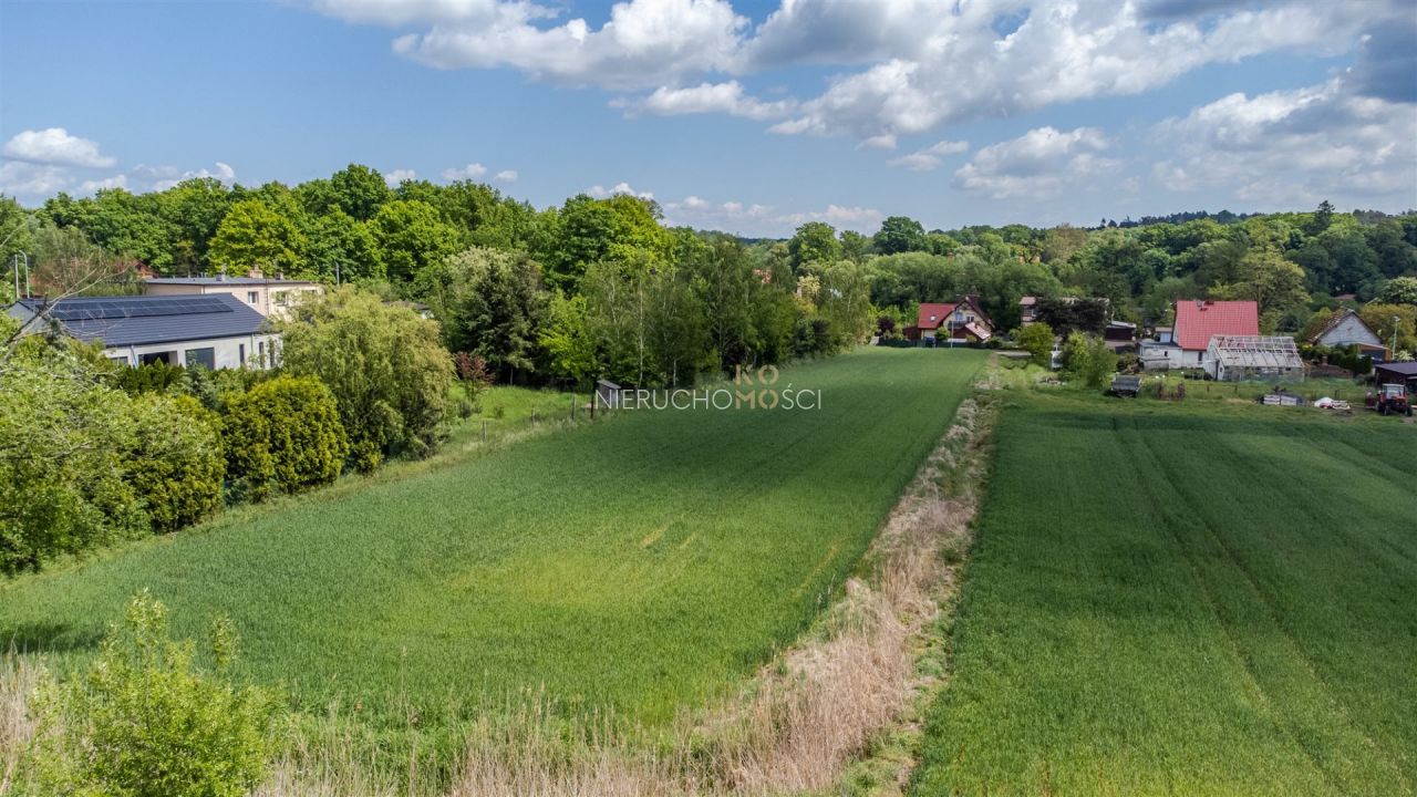Działka rolno-budowlana Wilczyn. Zdjęcie 2