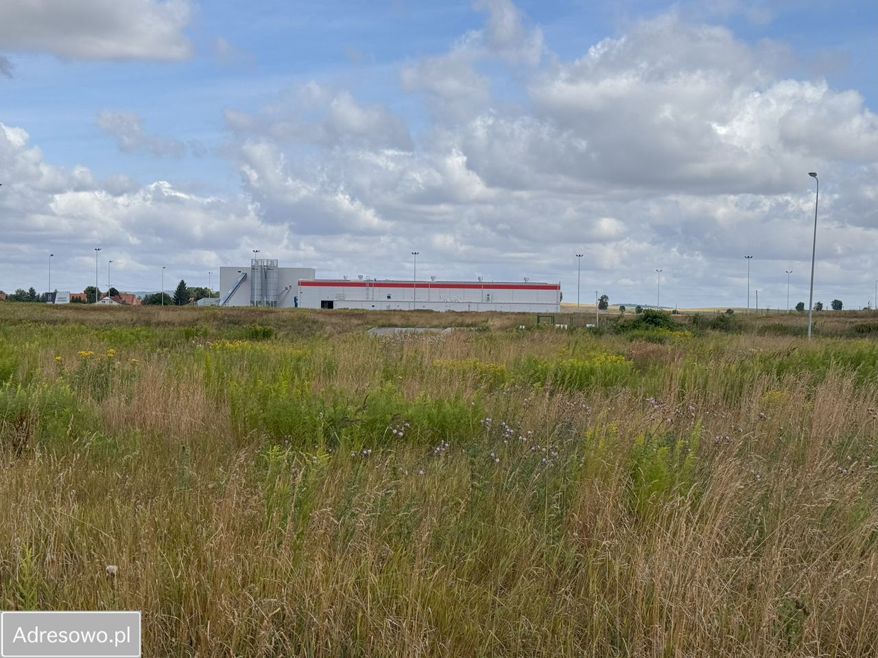Działka inwestycyjna Pasieczna. Zdjęcie 3