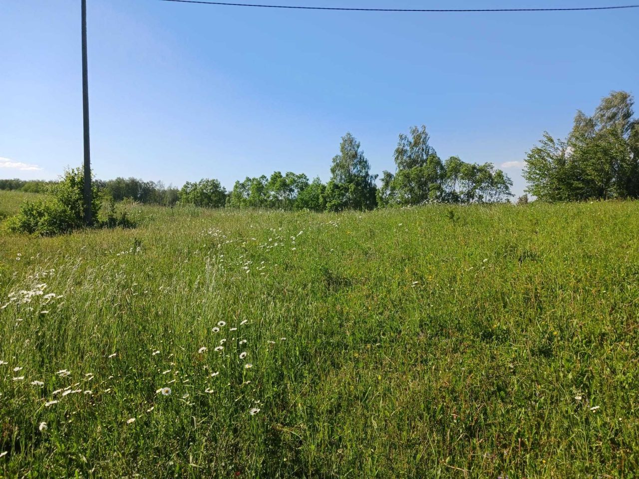 Działka rolna Notyst Mały. Zdjęcie 5