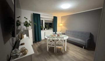 Mieszkanie 2-pokojowe Czernin, ul. Sadowa