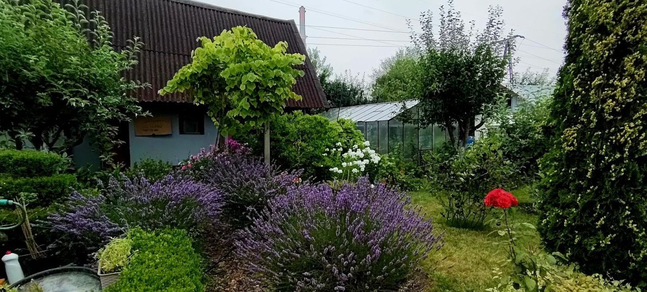 Działka rod Koszalin, ul. Mieszka I. Zdjęcie 2