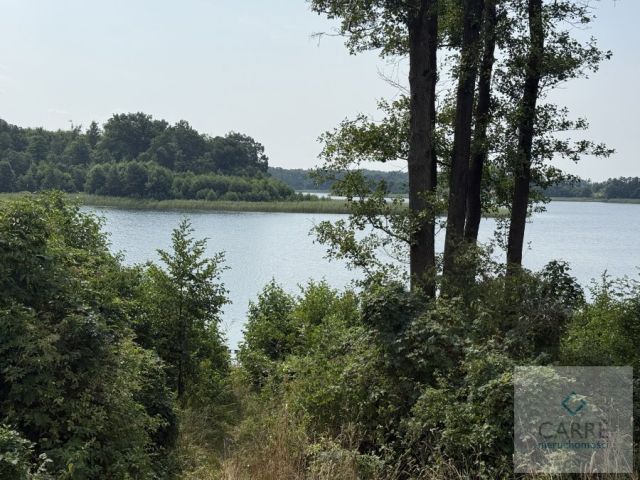 Działka rekreacyjna Jelenin. Zdjęcie 12