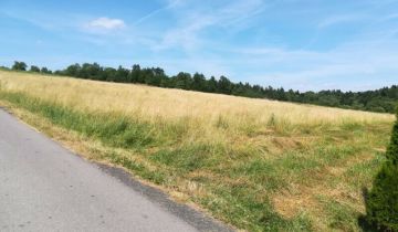 Działka rolno-budowlana Kobylec