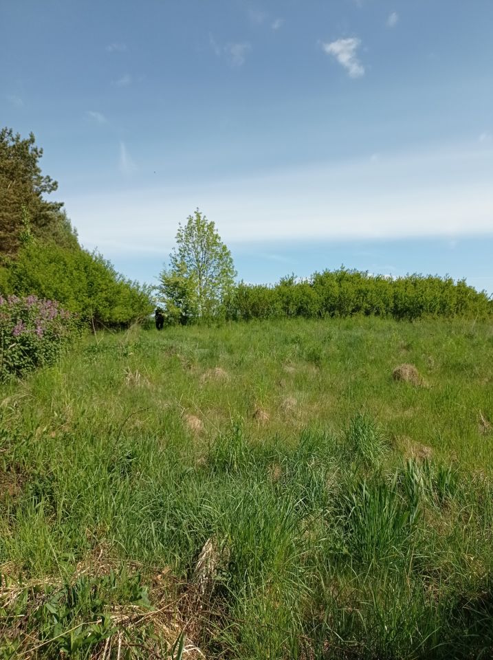 Działka rolno-budowlana Przyłęk Stara Wieś. Zdjęcie 3