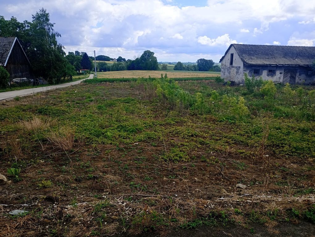 Działka rolno-budowlana Ksawerów. Zdjęcie 7