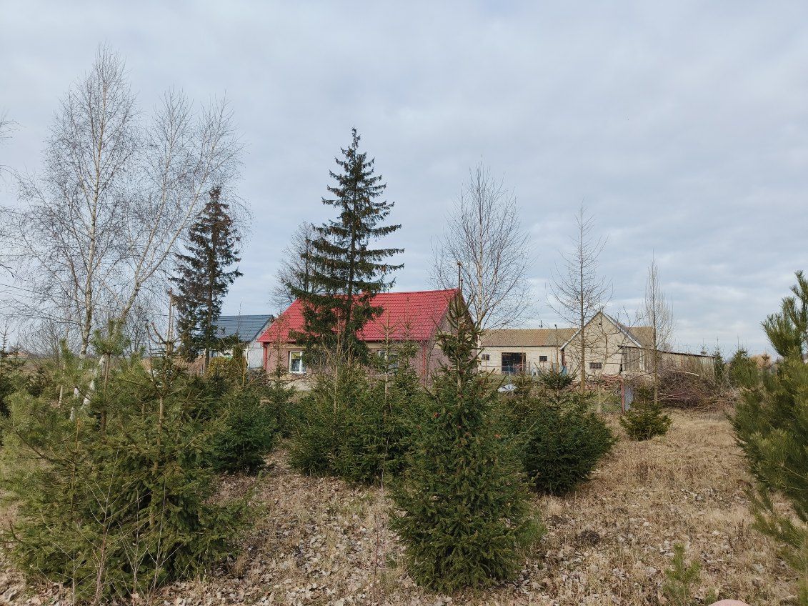 siedlisko, 4 pokoje Gozdowo, ul. Sosnowa. Zdjęcie 2