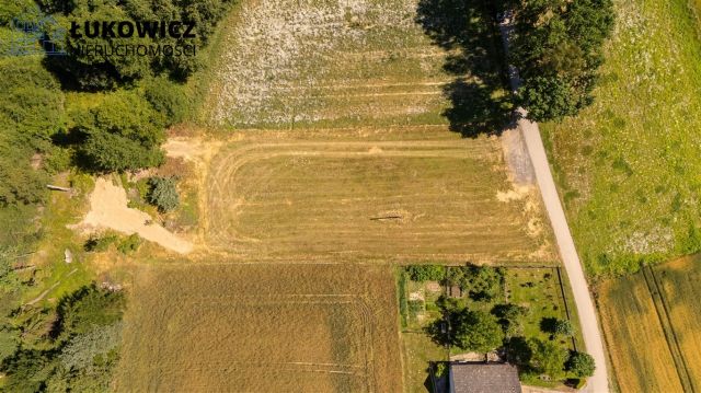 Działka budowlana Dankowice. Zdjęcie 6