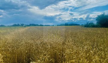 Działka budowlana Nowe Faszczyce