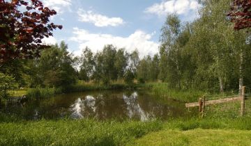 Działka budowlana Stepniczka, ul. Barnima II