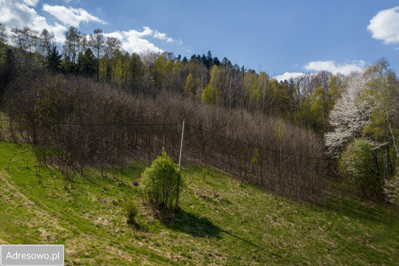 Działka inwestycyjna Ustroń. Zdjęcie 6