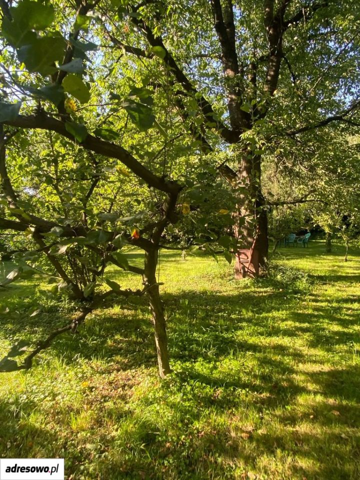 Działka budowlana Cieszyn, al. Piastowska. Zdjęcie 6