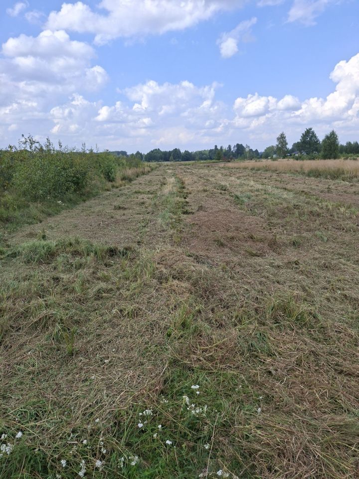 Działka rolna Mąkosy Stare. Zdjęcie 5