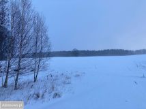 Działka inwestycyjna Miszewko. Zdjęcie 4