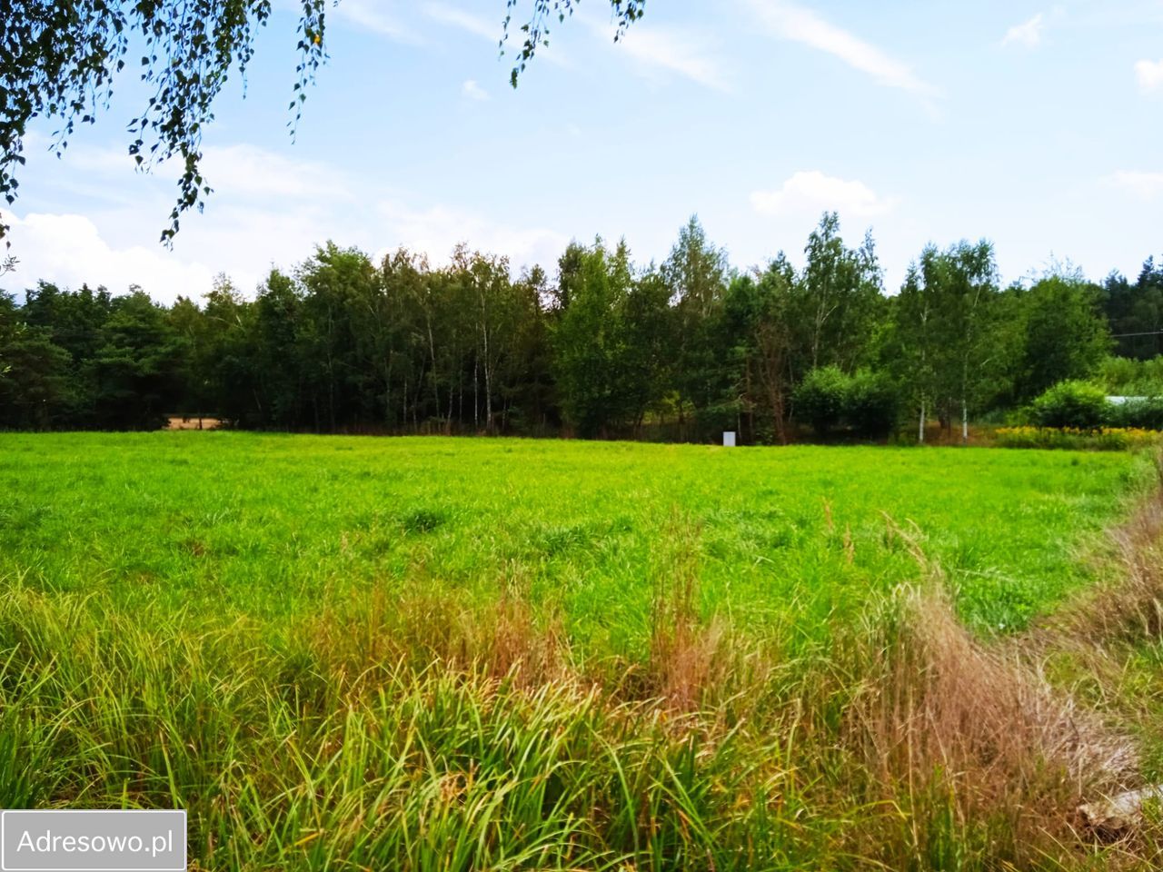 Działka budowlana Motyczyn. Zdjęcie 4