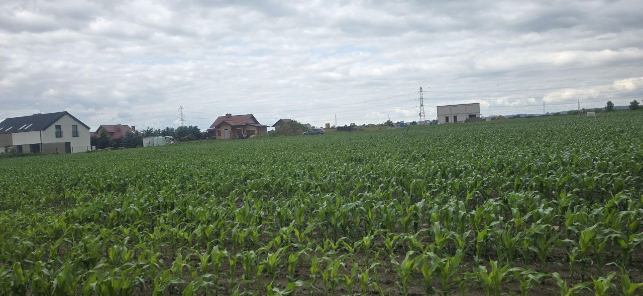 Działka budowlana Rogoż, ul. Zacisze. Zdjęcie 3