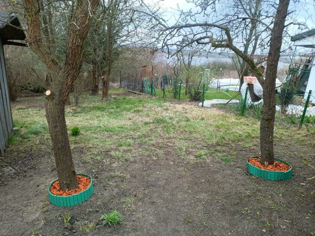 Działka rod Płock, ul. Szpitalna. Zdjęcie 1