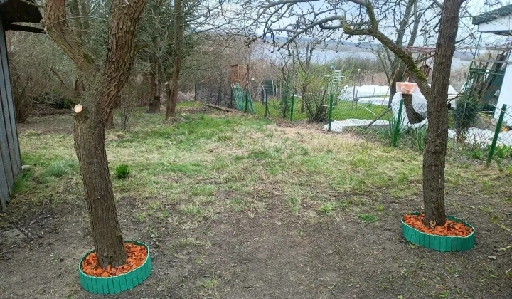 Działka rod Płock, ul. Szpitalna