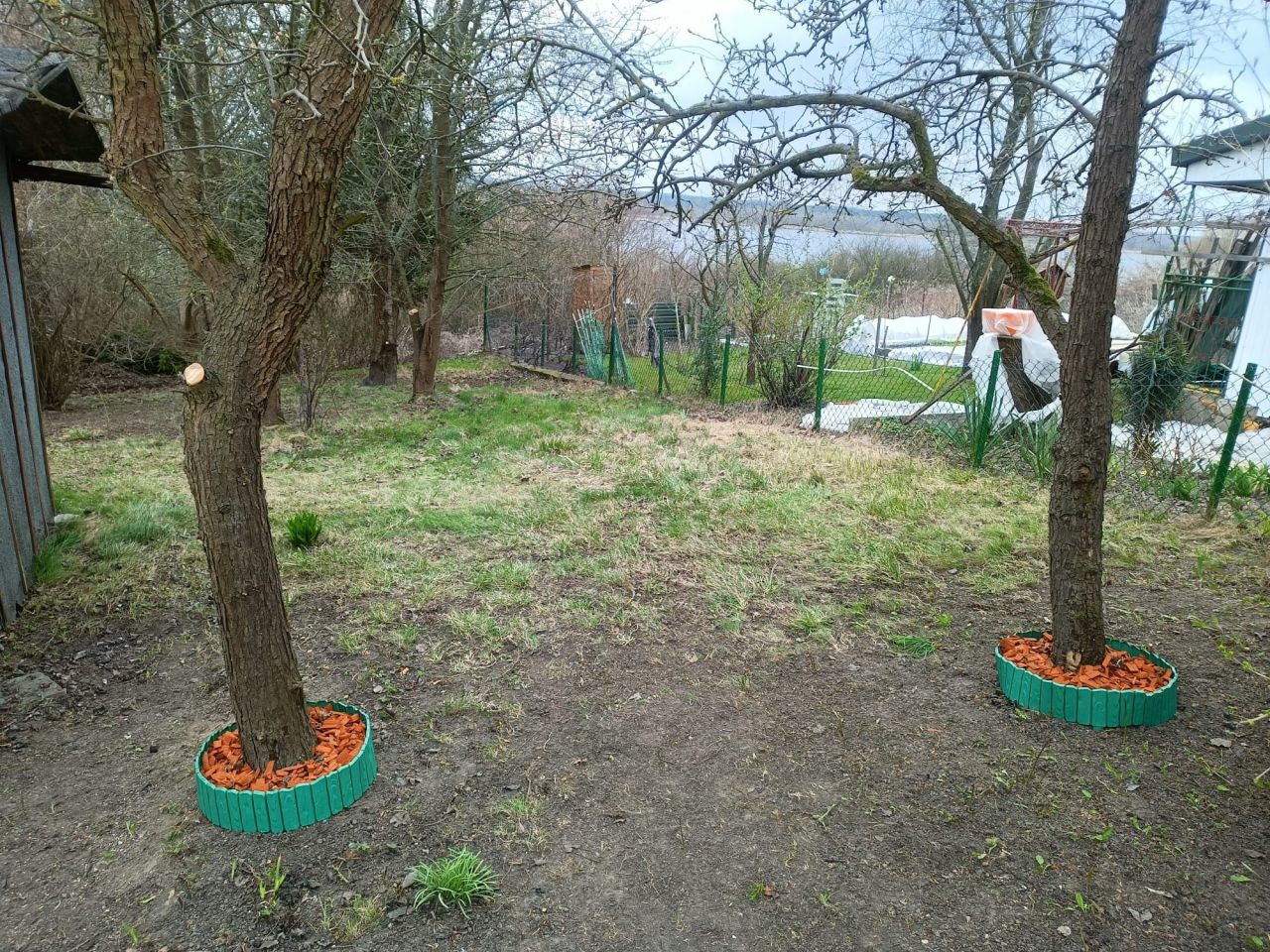 Działka rod Płock, ul. Szpitalna. Zdjęcie 1