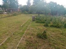 Działka rod Nowe. Zdjęcie 3
