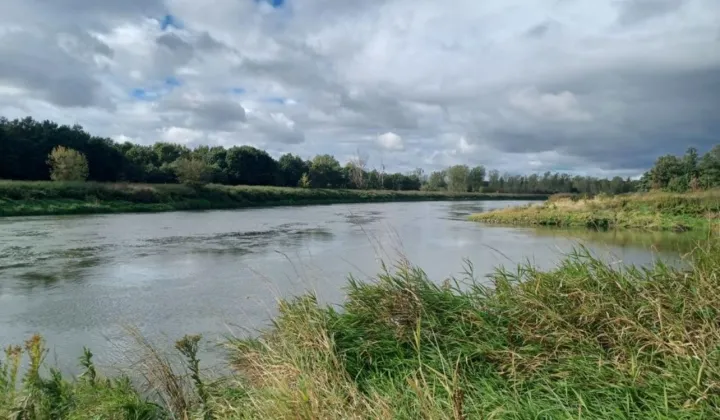 Działka rolna Gliniany