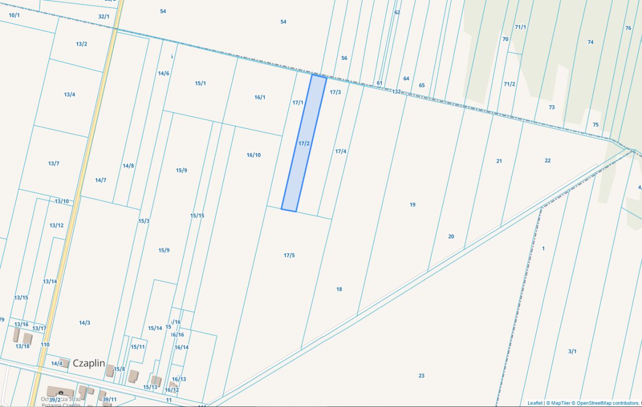 Działka rolna Czaplin. Zdjęcie 4