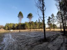 Działka budowlana Olmonty, ul. Chabrowa. Zdjęcie 2