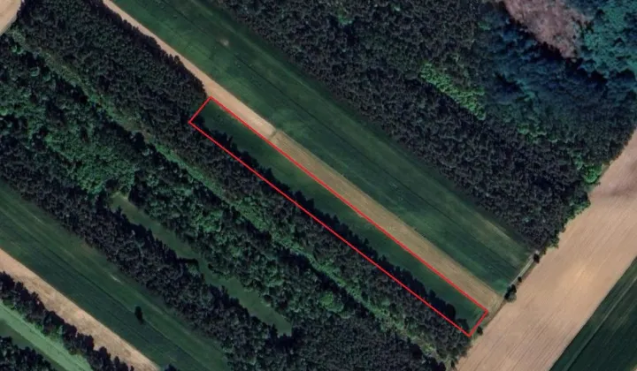 Działka rolna Lachowo