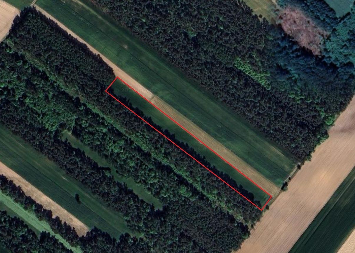 Działka rolna Lachowo. Zdjęcie 1