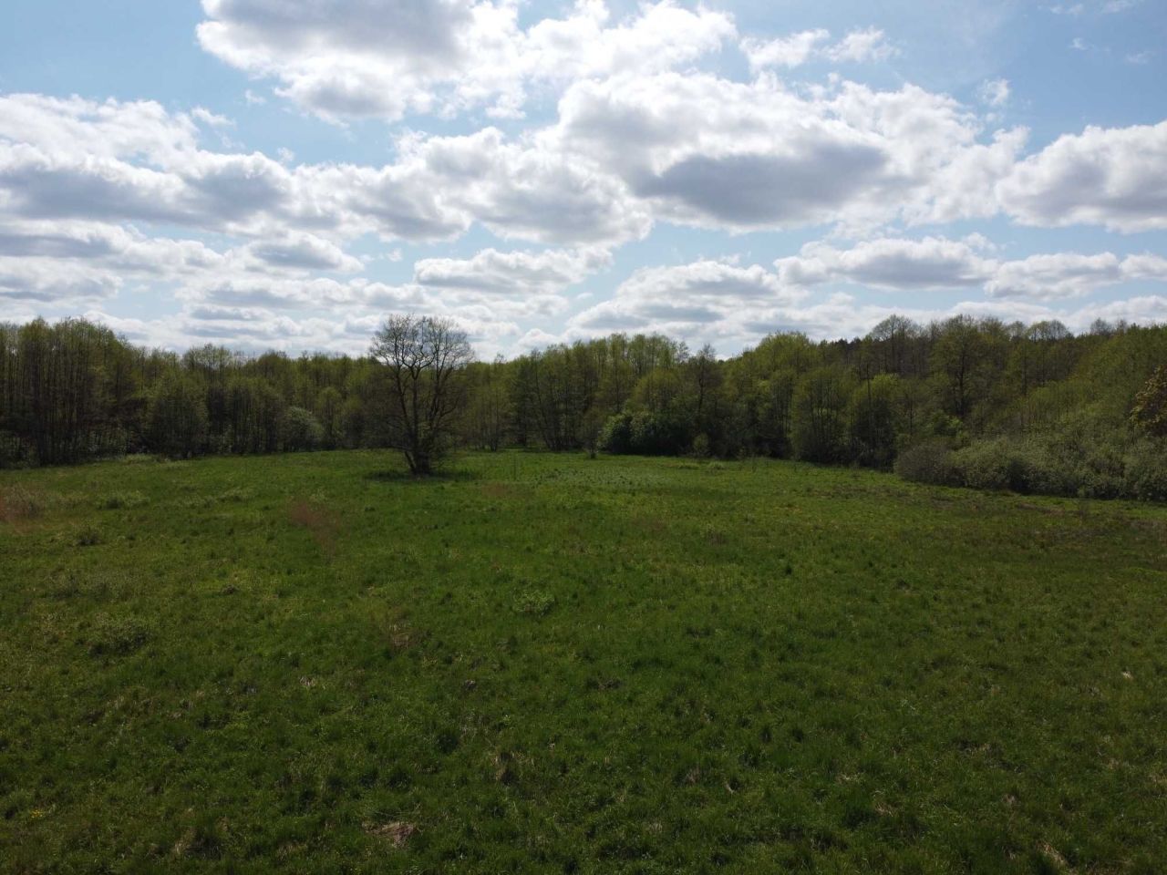 Działka rolna Krąg. Zdjęcie 7