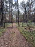 Działka leśna Przybynów. Zdjęcie 1