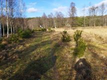 Działka rolno-budowlana Zimne Zdroje. Zdjęcie 3