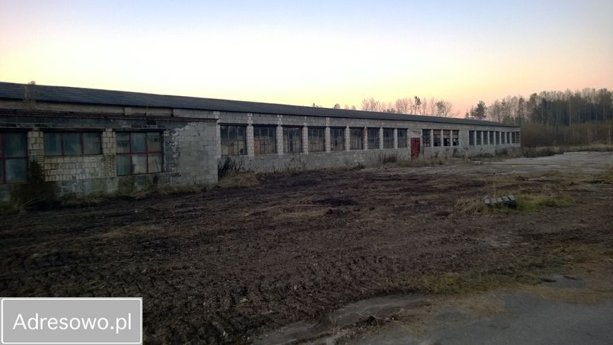 Działka inwestycyjna Lipie. Zdjęcie 7