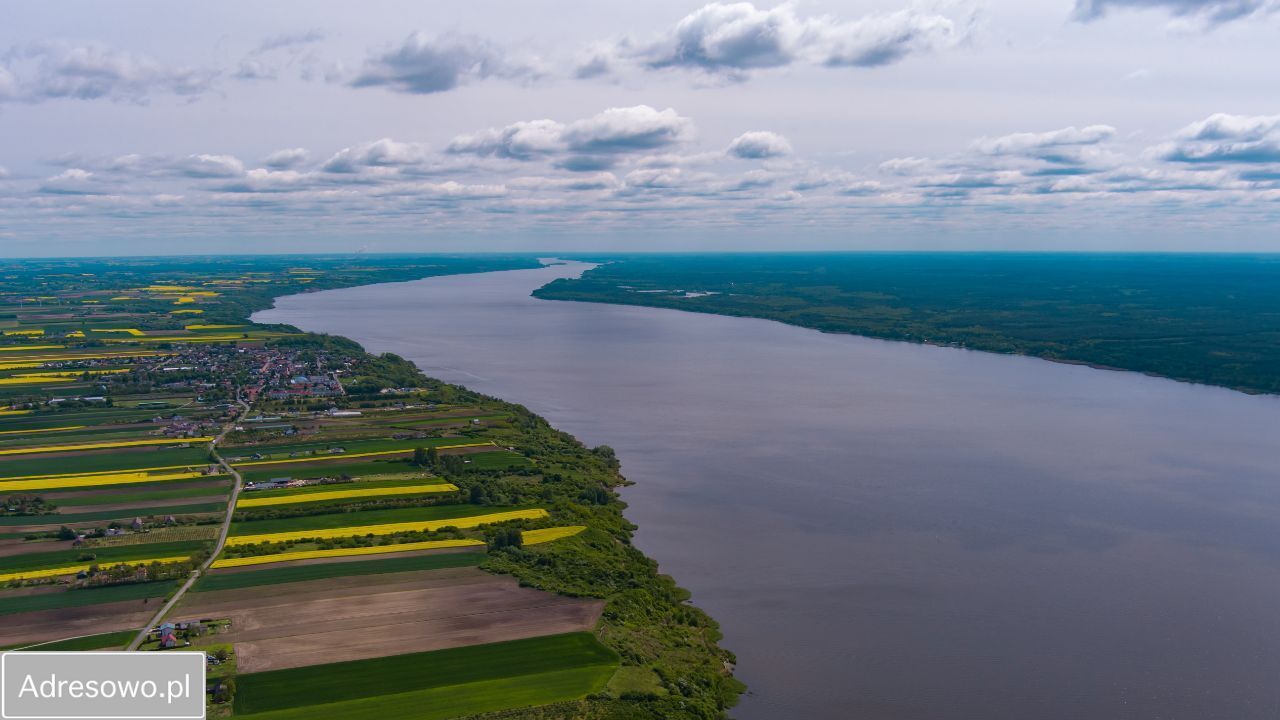 gospodarstwo, 3 pokoje Bachorzewo. Zdjęcie 7