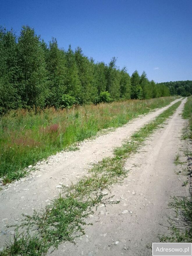 Działka budowlana Brańszczyk. Zdjęcie 8