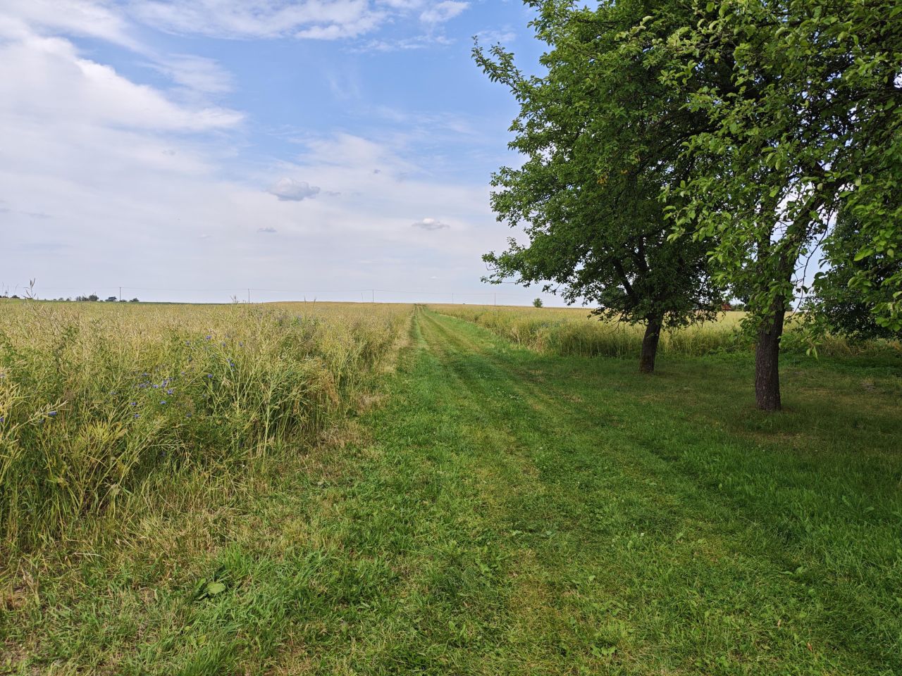 Działka rolno-budowlana Stawki Szkorutyniec. Zdjęcie 18