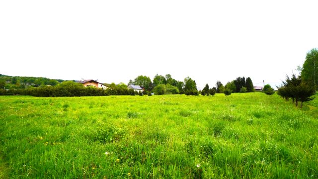 Działka budowlana Zagórzany. Zdjęcie 4