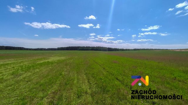 Działka rolna Zabór. Zdjęcie 1