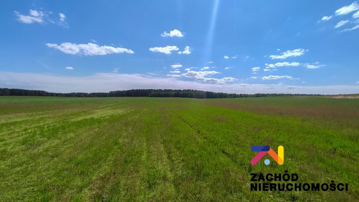 Działka rolna Zabór