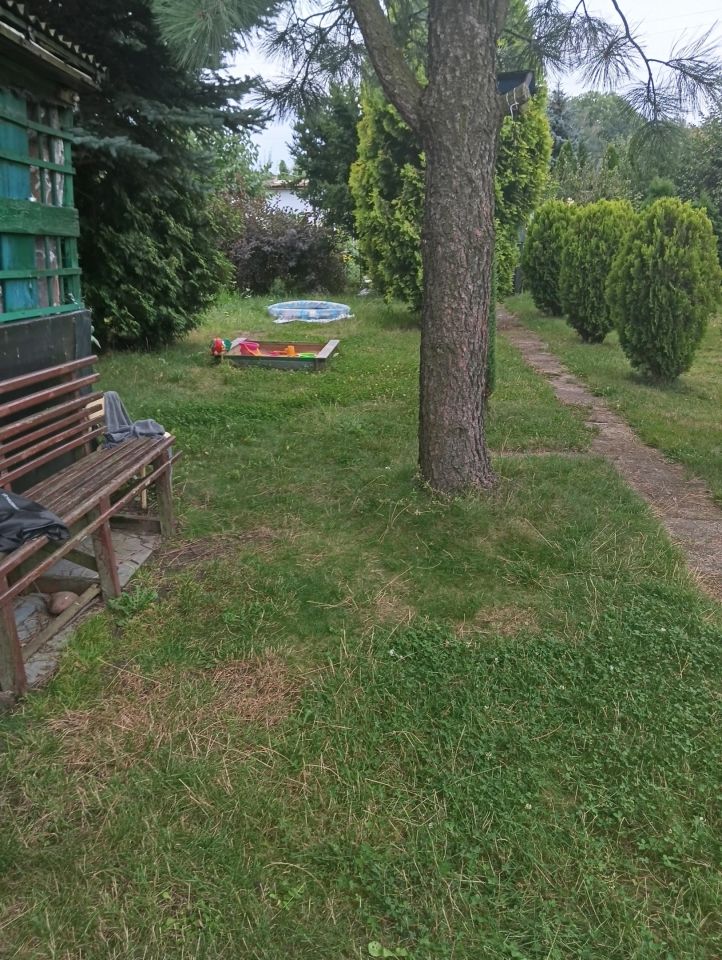 Działka rod Wieluń, ul. Polskiej Organizacji Wojskowej. Zdjęcie 6