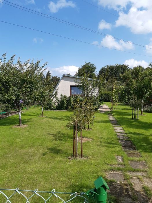 Działka rod Gdynia Oksywie, ul. Zielona. Zdjęcie 7