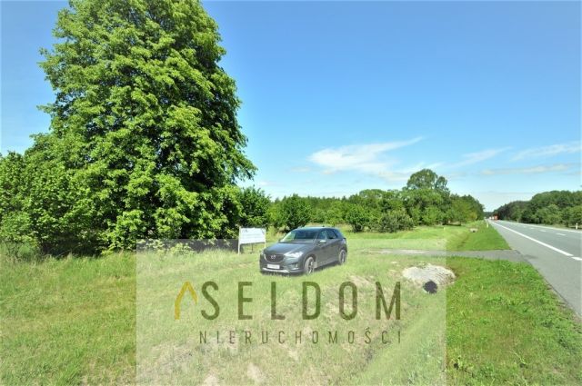 Działka inwestycyjna Grodziec. Zdjęcie 10