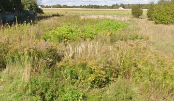 Działka budowlana Miedźno, ul. Wyzwolenia