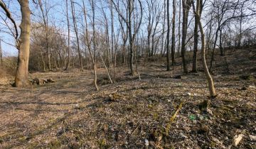 Działka siedliskowa Dębiany