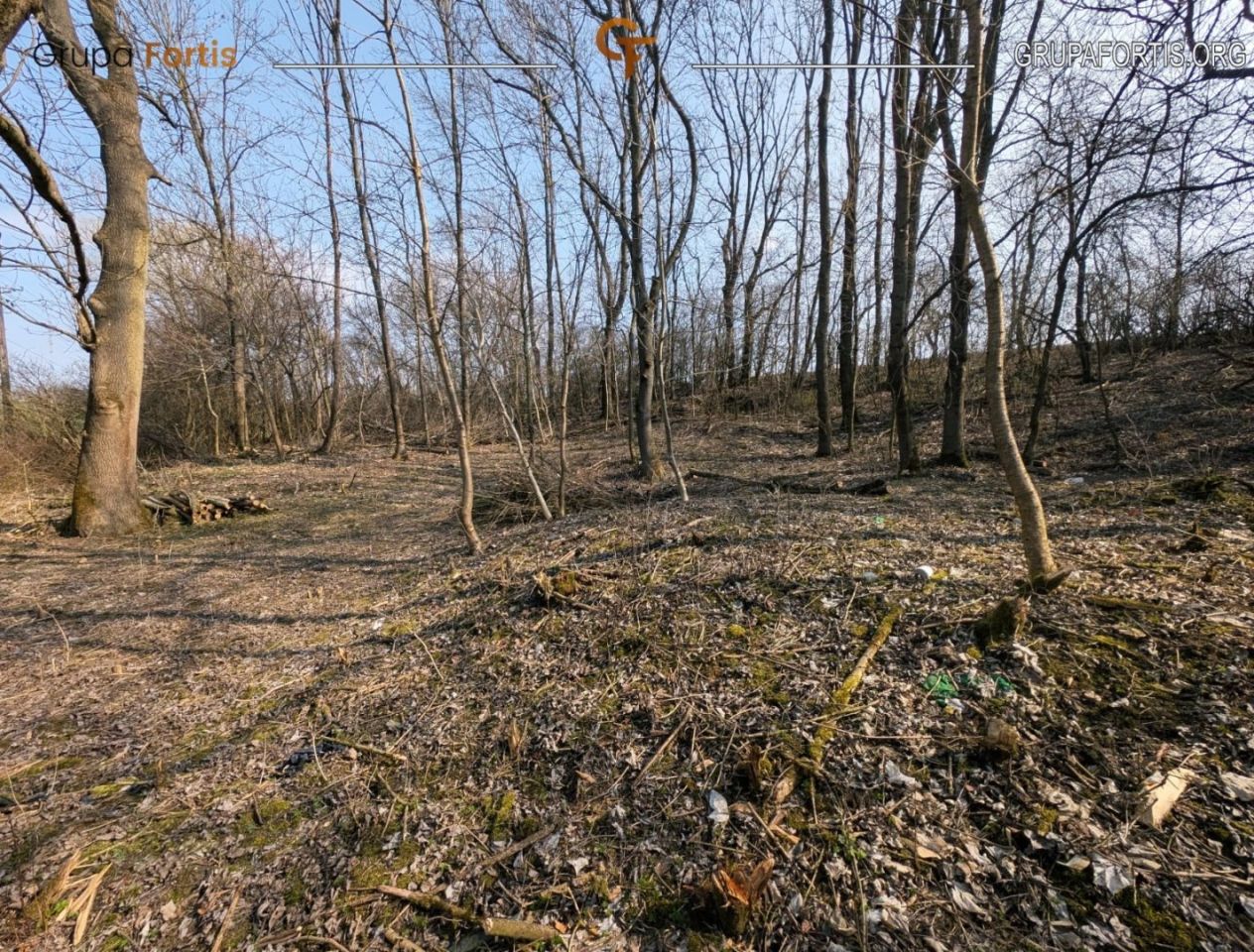 Działka siedliskowa Dębiany. Zdjęcie 2